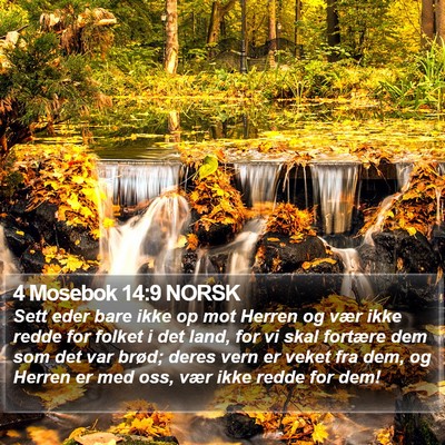 4 Mosebok 14:9 NORSK Bible Verse Image