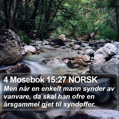 4 Mosebok 15:27 NORSK Bible Verse Image