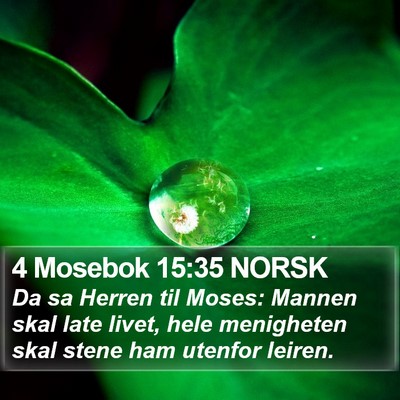 4 Mosebok 15:35 NORSK Bible Verse Image