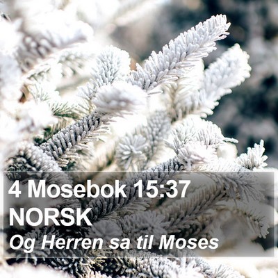 4 Mosebok 15:37 NORSK Bible Verse Image