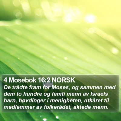 4 Mosebok 16:2 NORSK Bible Verse Image