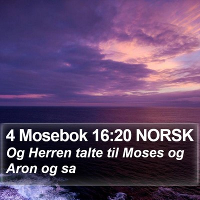 4 Mosebok 16:20 NORSK Bible Verse Image