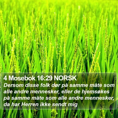 4 Mosebok 16:29 NORSK Bible Verse Image