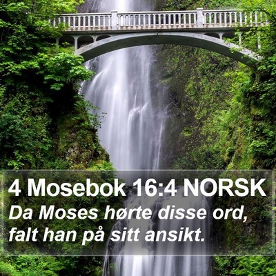4 Mosebok 16:4 NORSK Bible Verse Image