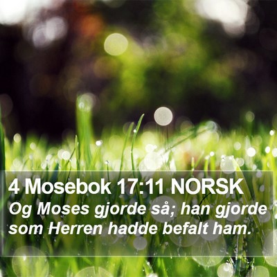 4 Mosebok 17:11 NORSK Bible Verse Image