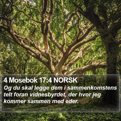 4 Mosebok 17:4 NORSK Bible Verse Image