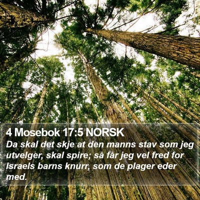 4 Mosebok 17:5 NORSK Bible Verse Image