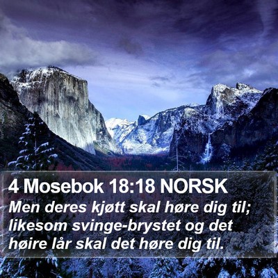 4 Mosebok 18:18 NORSK Bible Verse Image