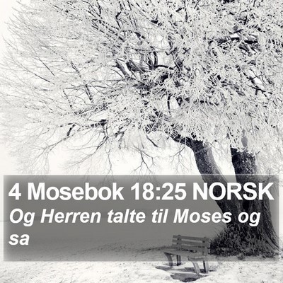 4 Mosebok 18:25 NORSK Bible Verse Image