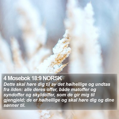 4 Mosebok 18:9 NORSK Bible Verse Image