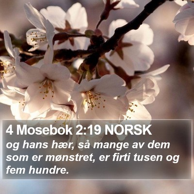 4 Mosebok 2:19 NORSK Bible Verse Image