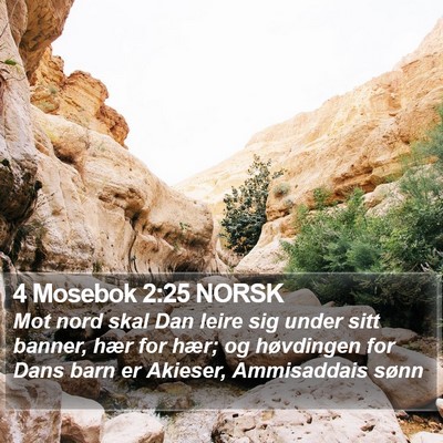 4 Mosebok 2:25 NORSK Bible Verse Image