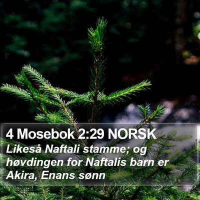 4 Mosebok 2:29 NORSK Bible Verse Image
