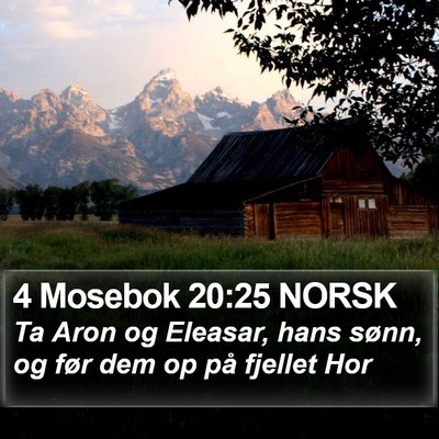 4 Mosebok 20:25 NORSK Bible Verse Image