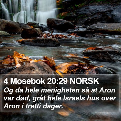 4 Mosebok 20:29 NORSK Bible Verse Image