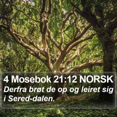 4 Mosebok 21:12 NORSK Bible Verse Image