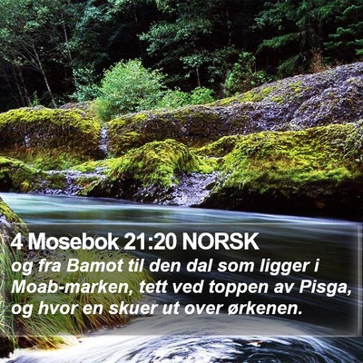 4 Mosebok 21:20 NORSK Bible Verse Image