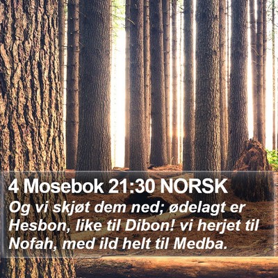 4 Mosebok 21:30 NORSK Bible Verse Image