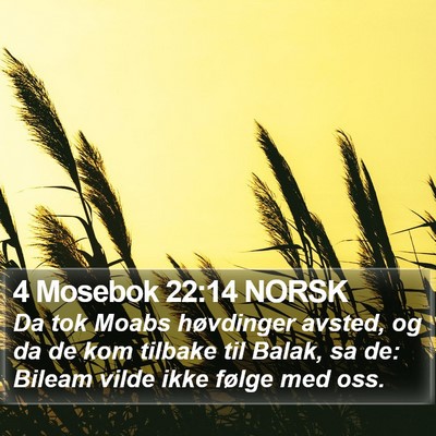 4 Mosebok 22:14 NORSK Bible Verse Image