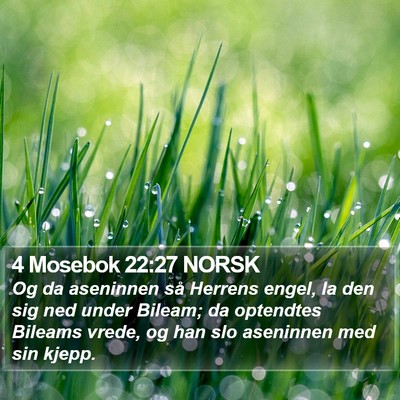 4 Mosebok 22:27 NORSK Bible Verse Image