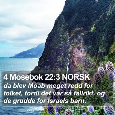 4 Mosebok 22:3 NORSK Bible Verse Image