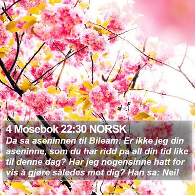 4 Mosebok 22:30 NORSK Bible Verse Image