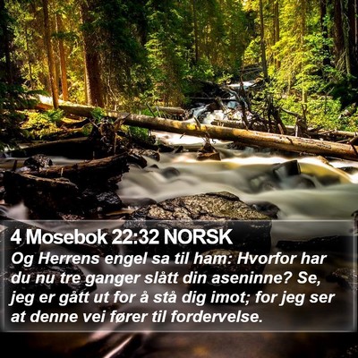 4 Mosebok 22:32 NORSK Bible Verse Image