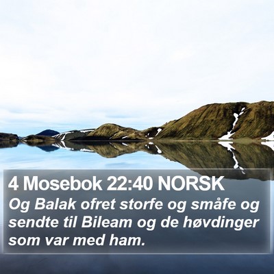 4 Mosebok 22:40 NORSK Bible Verse Image