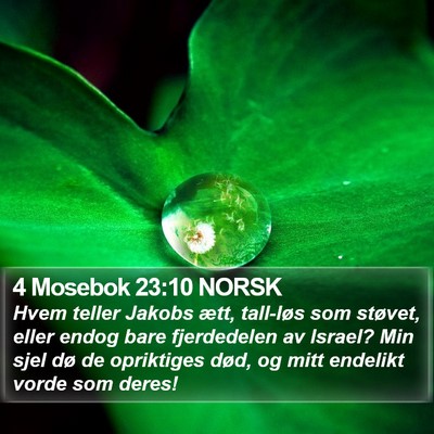 4 Mosebok 23:10 NORSK Bible Verse Image