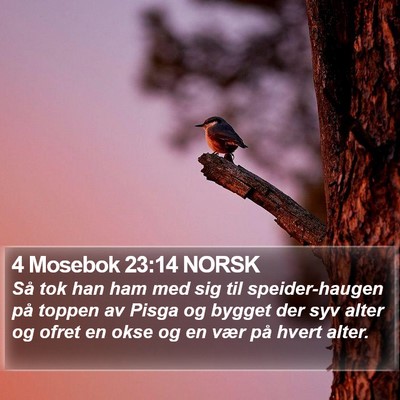 4 Mosebok 23:14 NORSK Bible Verse Image