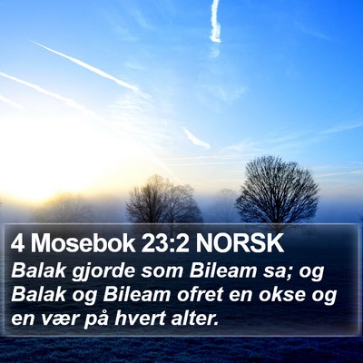 4 Mosebok 23:2 NORSK Bible Verse Image