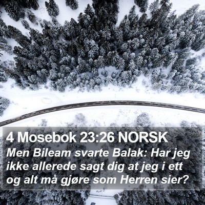 4 Mosebok 23:26 NORSK Bible Verse Image