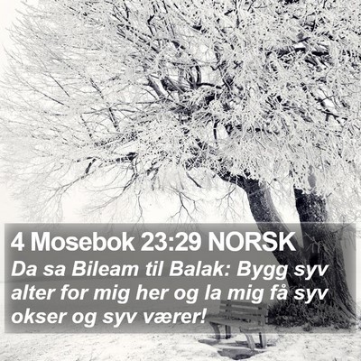 4 Mosebok 23:29 NORSK Bible Verse Image