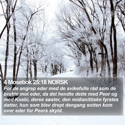 4 Mosebok 25:18 NORSK Bible Verse Image