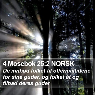 4 Mosebok 25:2 NORSK Bible Verse Image