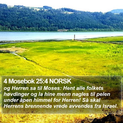 4 Mosebok 25:4 NORSK Bible Verse Image