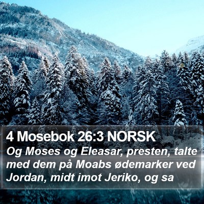 4 Mosebok 26:3 NORSK Bible Verse Image
