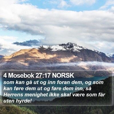 4 Mosebok 27:17 NORSK Bible Verse Image