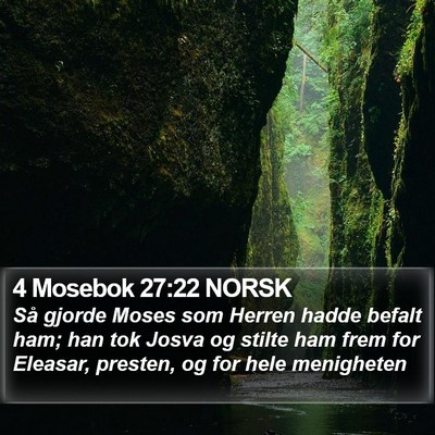 4 Mosebok 27:22 NORSK Bible Verse Image