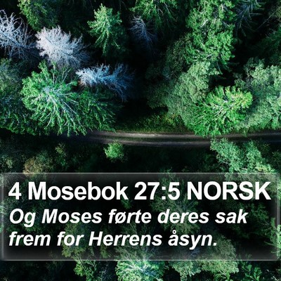 4 Mosebok 27:5 NORSK Bible Verse Image