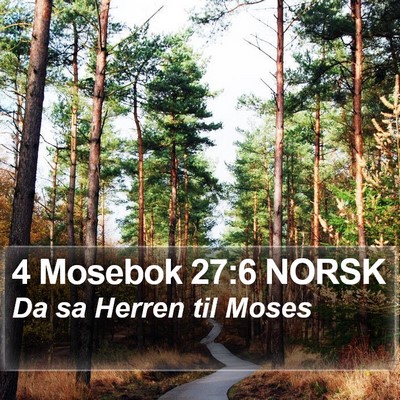 4 Mosebok 27:6 NORSK Bible Verse Image