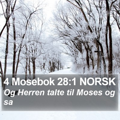 4 Mosebok 28:1 NORSK Bible Verse Image