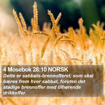 4 Mosebok 28:10 NORSK Bible Verse Image