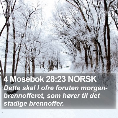 4 Mosebok 28:23 NORSK Bible Verse Image