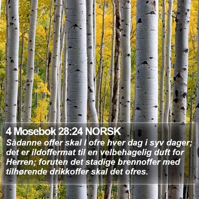 4 Mosebok 28:24 NORSK Bible Verse Image