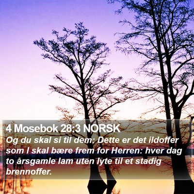 4 Mosebok 28:3 NORSK Bible Verse Image