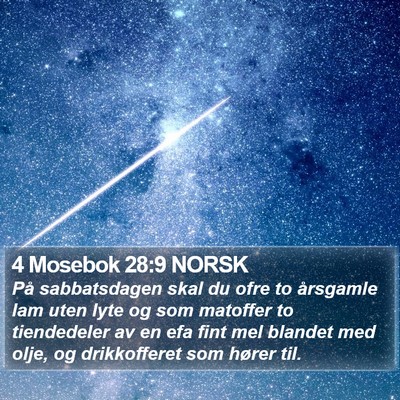 4 Mosebok 28:9 NORSK Bible Verse Image