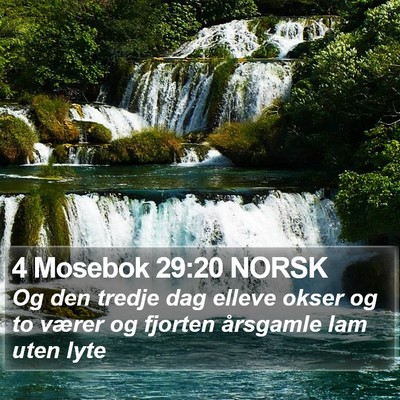 4 Mosebok 29:20 NORSK Bible Verse Image