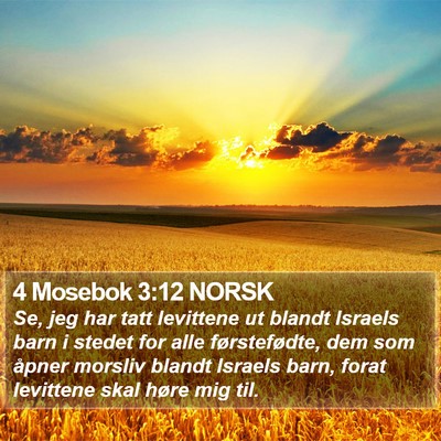 4 Mosebok 3:12 NORSK Bible Verse Image