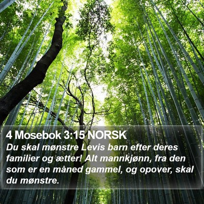 4 Mosebok 3:15 NORSK Bible Verse Image
